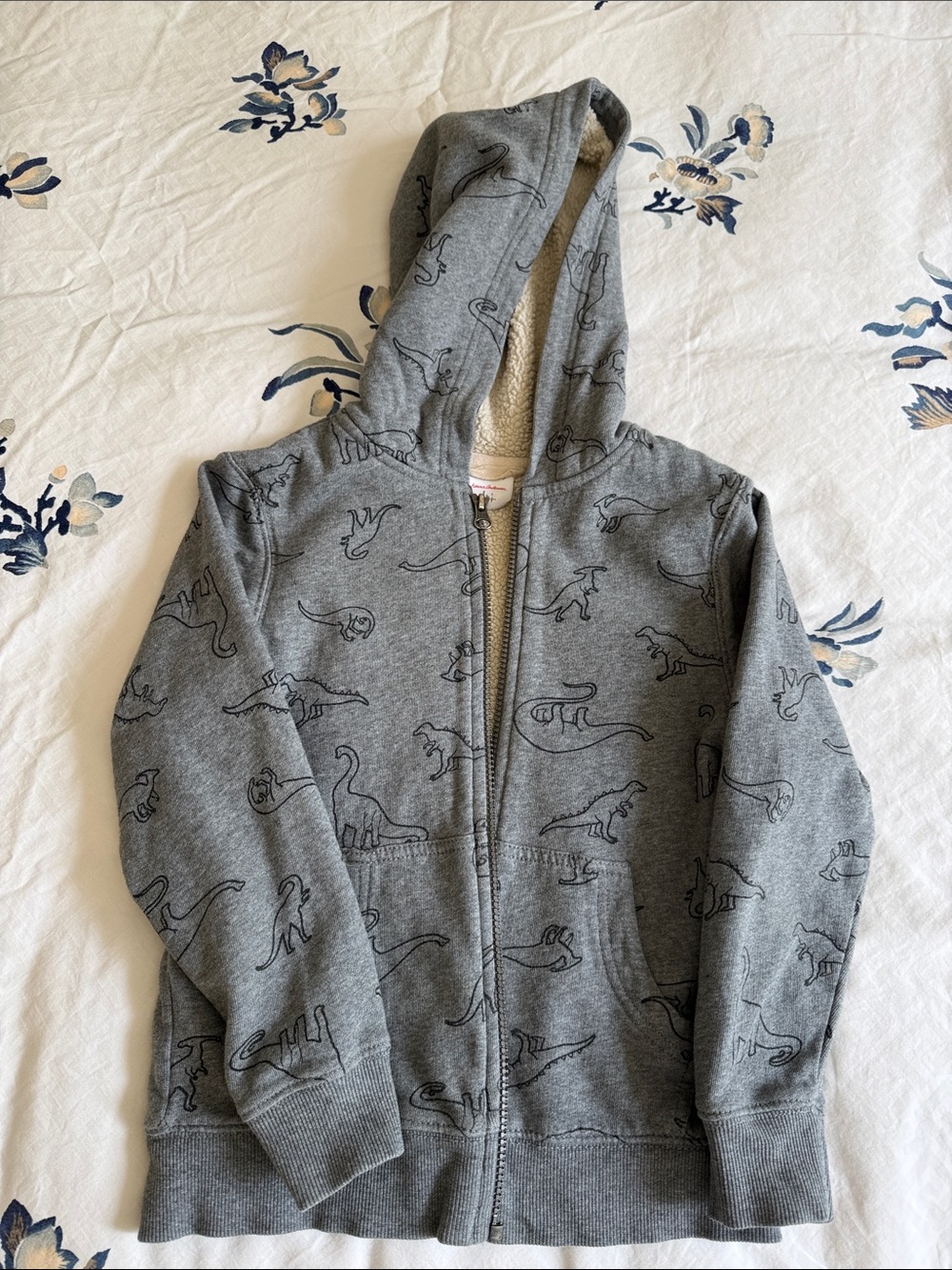 Hanna Andersson Gray Dinosaur Sherpa-Lined Zip Hoodie